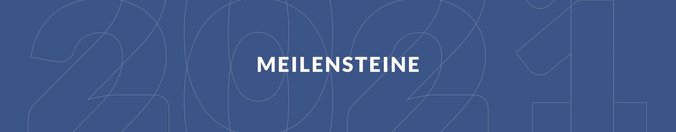 Meilensteine – FMH Geschäftsbericht 2020